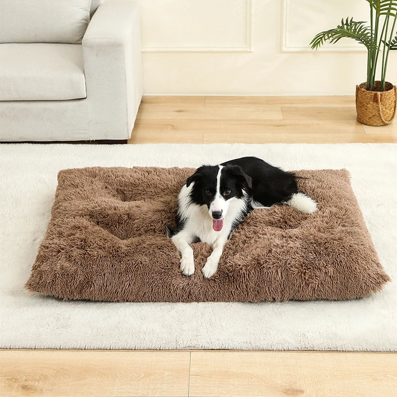 Hundeseng i plys med skridsikker bund og foldbart design