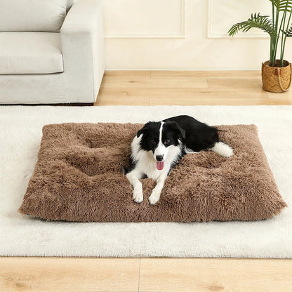 Hundeseng i plys med skridsikker bund og foldbart design