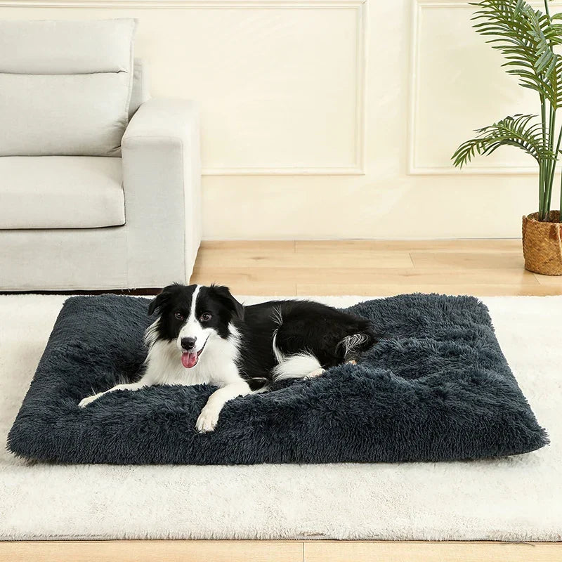 Hundeseng i plys med skridsikker bund og foldbart design