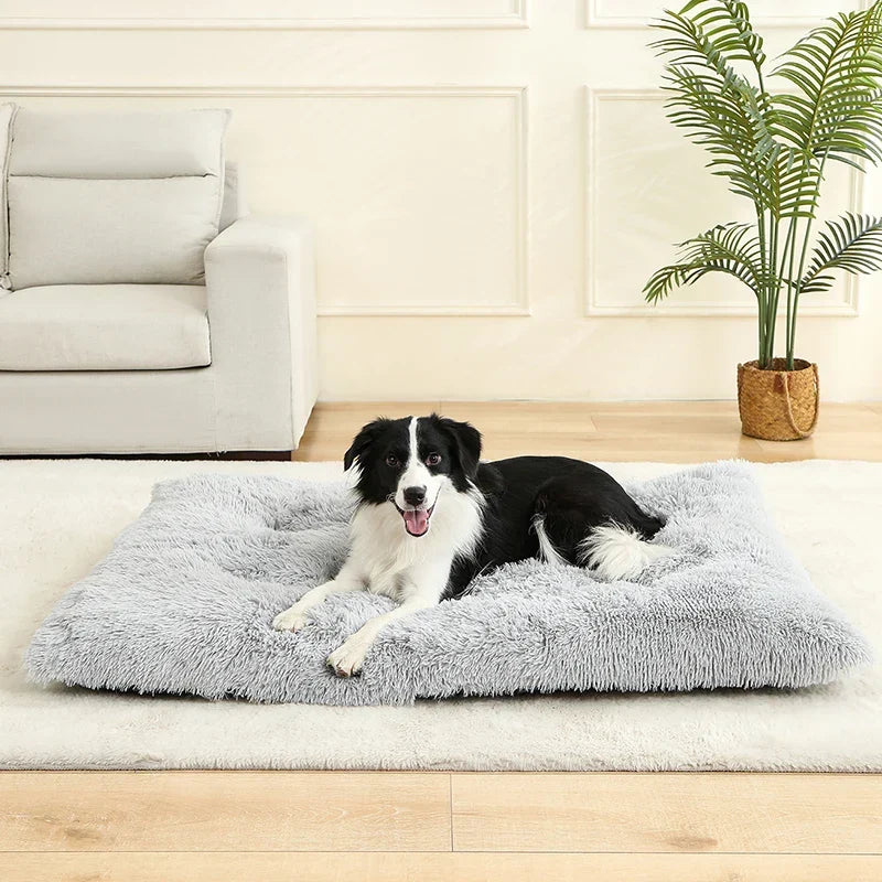 Hundeseng i plys med skridsikker bund og foldbart design