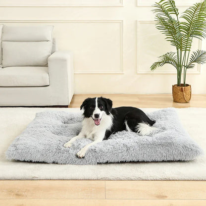Hundeseng i plys med skridsikker bund og foldbart design