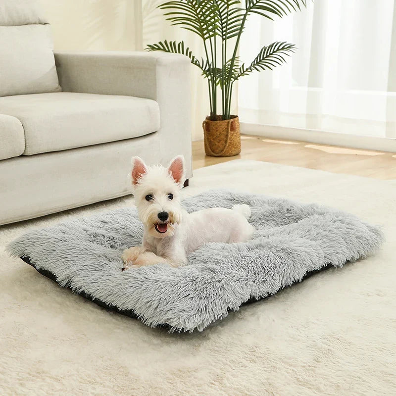 Hundeseng i plys med skridsikker bund og foldbart design