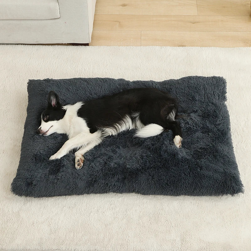 Hundeseng i plys med skridsikker bund og foldbart design
