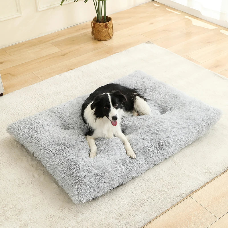 Hundeseng i plys med skridsikker bund og foldbart design