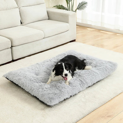 Hundeseng i plys med skridsikker bund og foldbart design