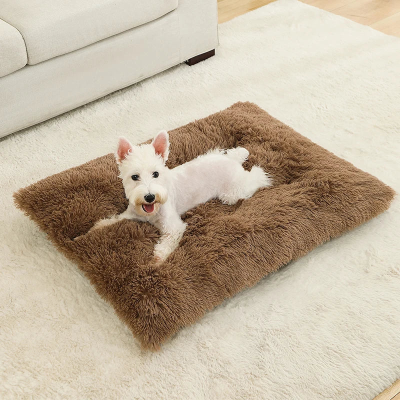 Hundeseng i plys med skridsikker bund og foldbart design