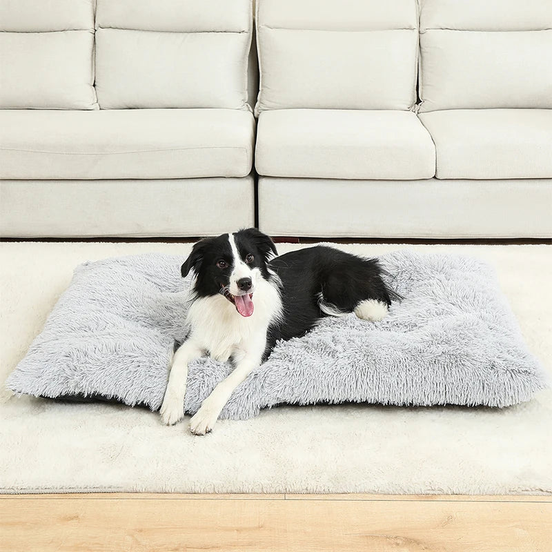 Hundeseng i plys med skridsikker bund og foldbart design