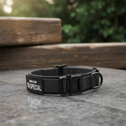 Justerbar Hundehalsbånd lavet af holdbart nylon, vandtæt, ergonomisk håndtag, til mellemstore og store hunde