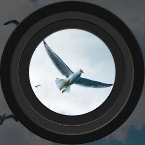 Lindegade | Langdistance Natkikkert