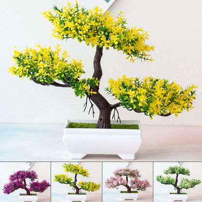 Lindegade | Plant Bonsai