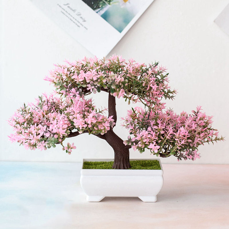 Lindegade | Plant Bonsai