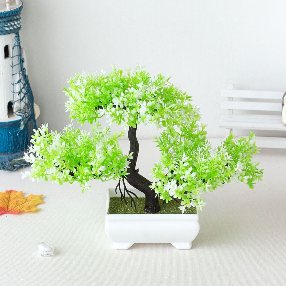 Lindegade | Plant Bonsai