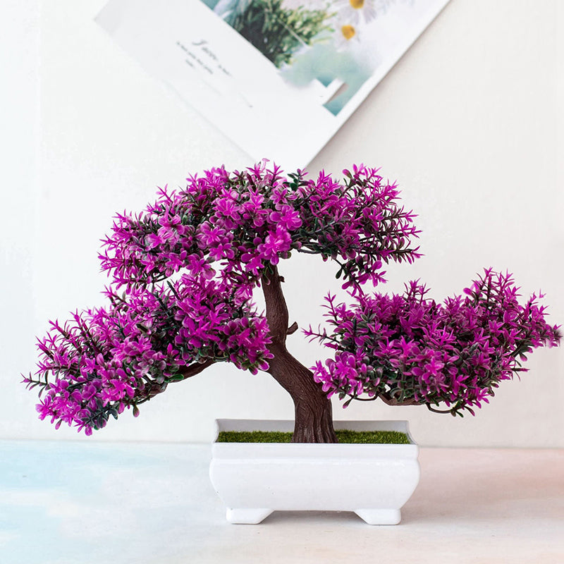 Lindegade | Plant Bonsai
