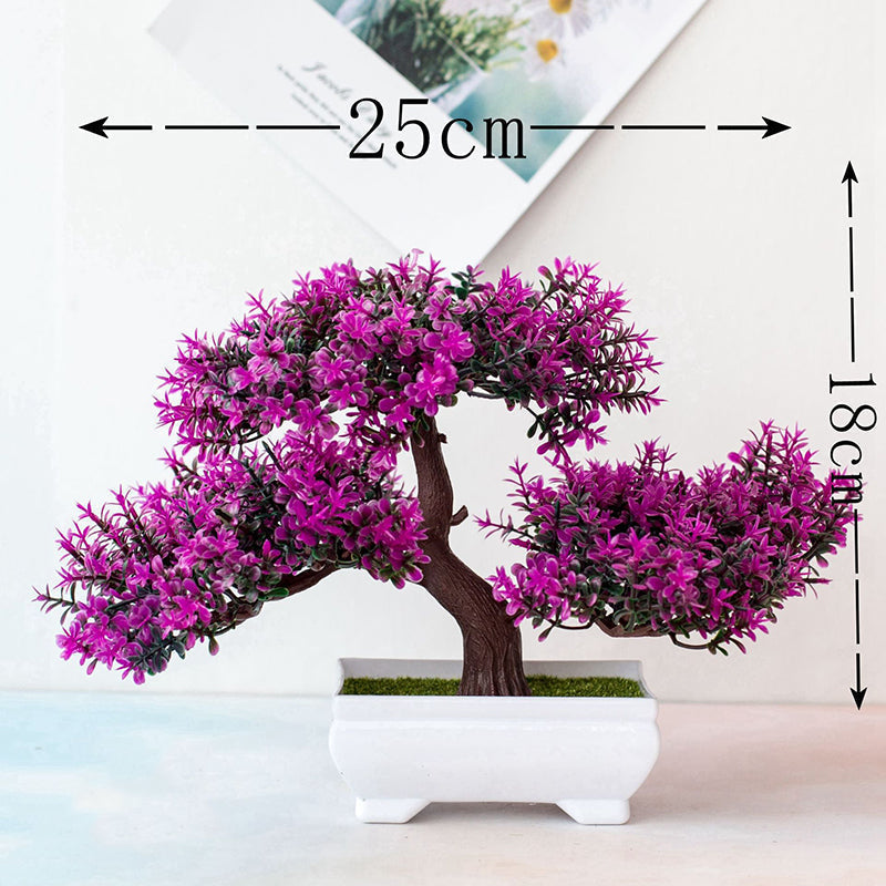 Lindegade | Plant Bonsai