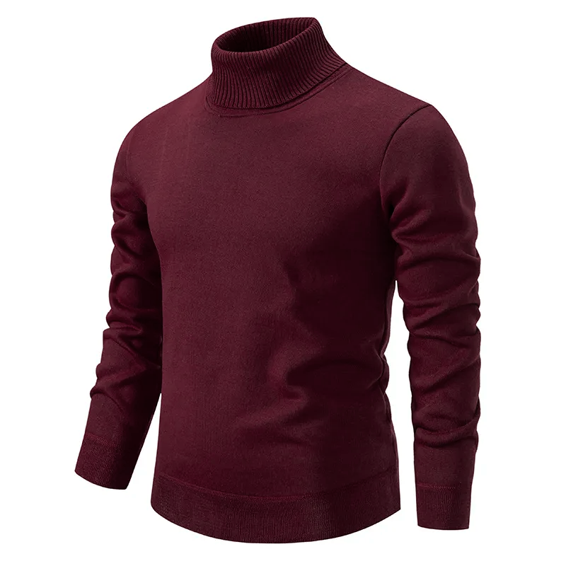 Noé | Pull à col roulé slim fit pour homme - Image 4