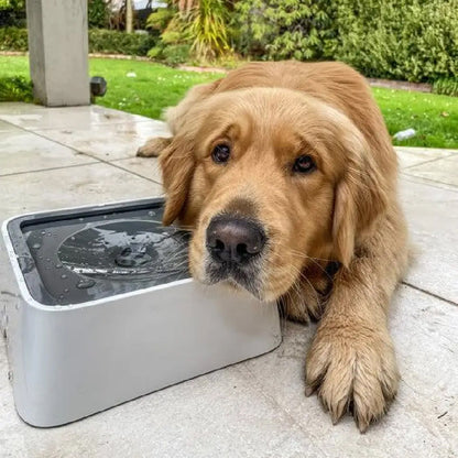 Vandskål til hunde