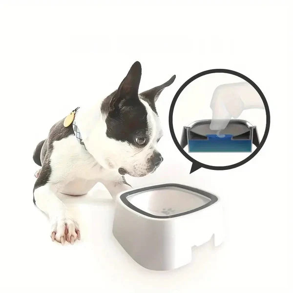 Vandskål til hunde