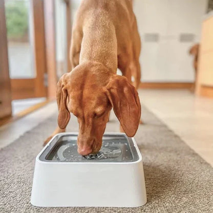 Vandskål til hunde