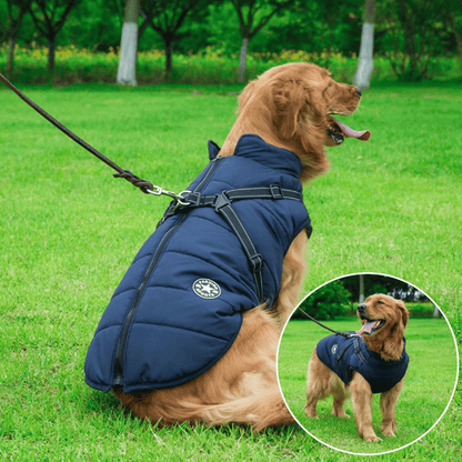 Vandtæt vinterjakke til hund med sele