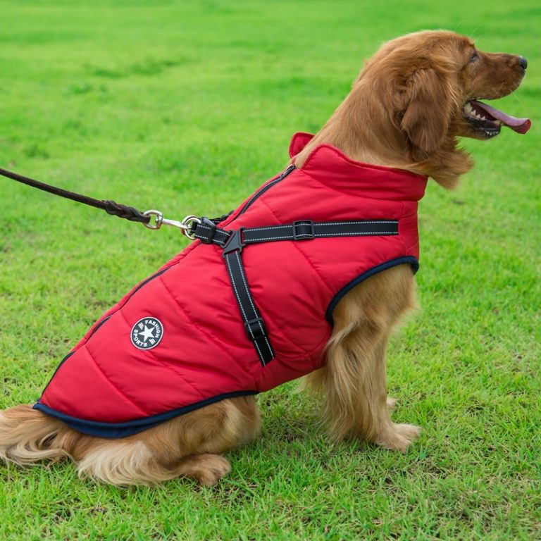 Vandtæt vinterjakke til hund med sele